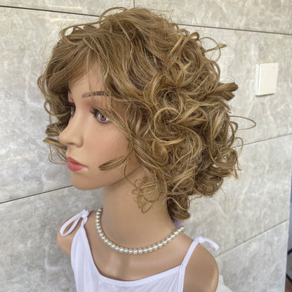 Short Fluffy Curly Synthetic Hair Wigs Women Soft Daily